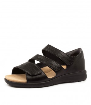 Women Ziera Bardot (Wide) Sandals Black / Black | Z-312946