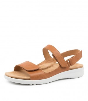 Women Ziera Benji (Wide) Sandals Brown / White | Z-136947