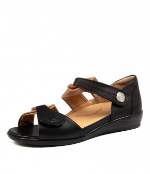 Women Ziera Doxie (Wide) Sandals Black / Brown | Z-857940