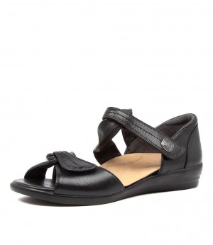 Women Ziera Doxie (Wide) Sandals Black | Z-230678